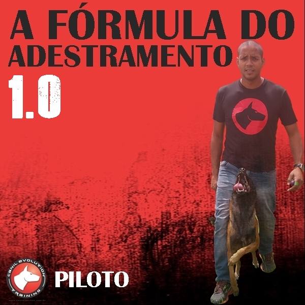 Canil Evolution dogs training a formula do adestramento basic curso online foto oficial