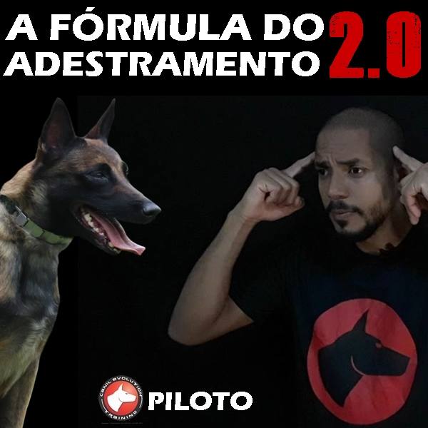 canil evolution a formula do adestramento hotmart NOVO222